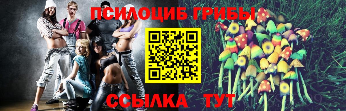 Псилоцибиновые грибы мицелий  Вход с VPN  Губкин 